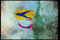 Sailing Boats 172068 Big Wave Off Key West, Florida A4 Limited Edition Watercolour Print