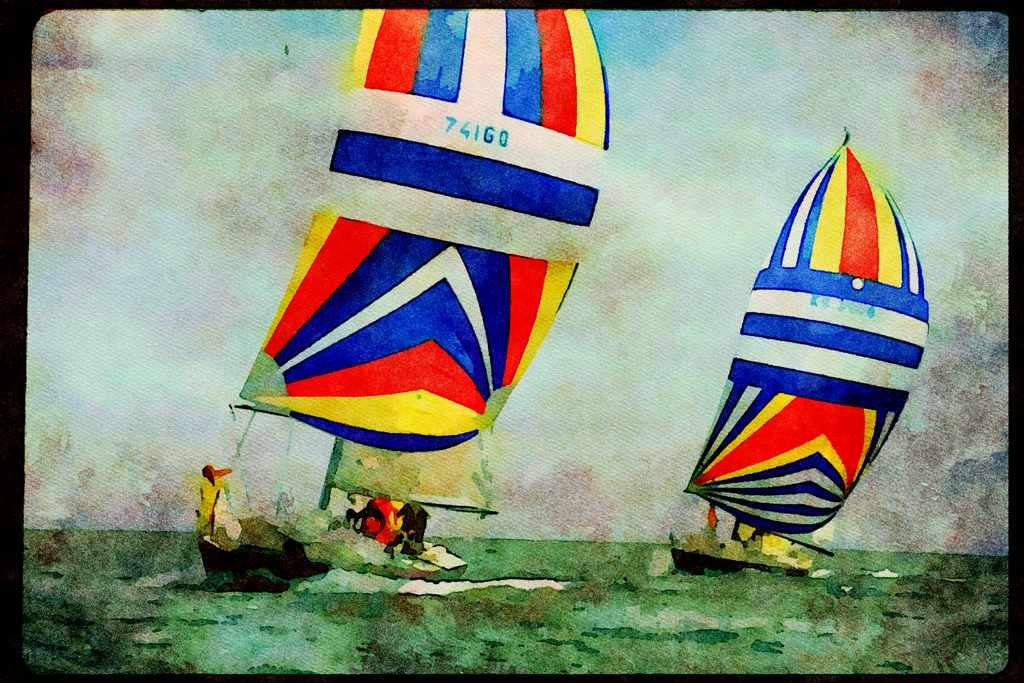 Sailing Sail 338055 Catch Me If You Can A4 Limited Edition Watercolour Print