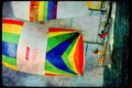 Sailing Sail 338071 Half A Boat Length Ahead A4 Limited Edition Watercolour Print