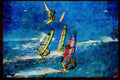 Sailing Sail Sailboarding 339016 Maui, Hawaii A4 Limited Edition Watercolour Print