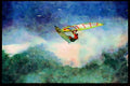 Sailing Sail Sailboarding 339028 Flying In Hawaii A4 Limited Edition Watercolour Print