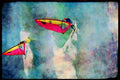 Sailing Sail Sailboarding 339048 Wave Sailing, Baja, Mexico A4 Limited Edition Watercolour Print