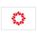 Saitama Pref Flag N2595 A4 Photo Print