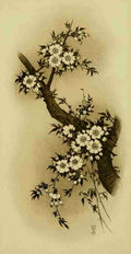 Sakura The cherry tree Mythological Japan 1902 Vintage A4 Photo Print