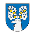 Saldutiskis City Coat Of Arms N6758 A4 Photo Print
