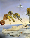 Salvador Dali 0596 Art A4 Photo Print
