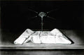 Salvador Dali 0657 Art A4 Photo Print