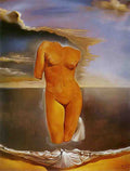 Salvador Dali 0721 Art A4 Photo Print