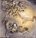 Salvador Dali 0750 2026 A4 Photo Print