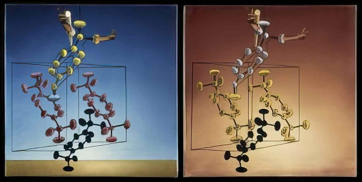 Salvador Dali 1107 Art A4 Photo Print