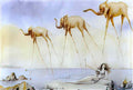 Salvador Dali salvador dali apparition venusienne delephants girafes Art A4 Photo Print