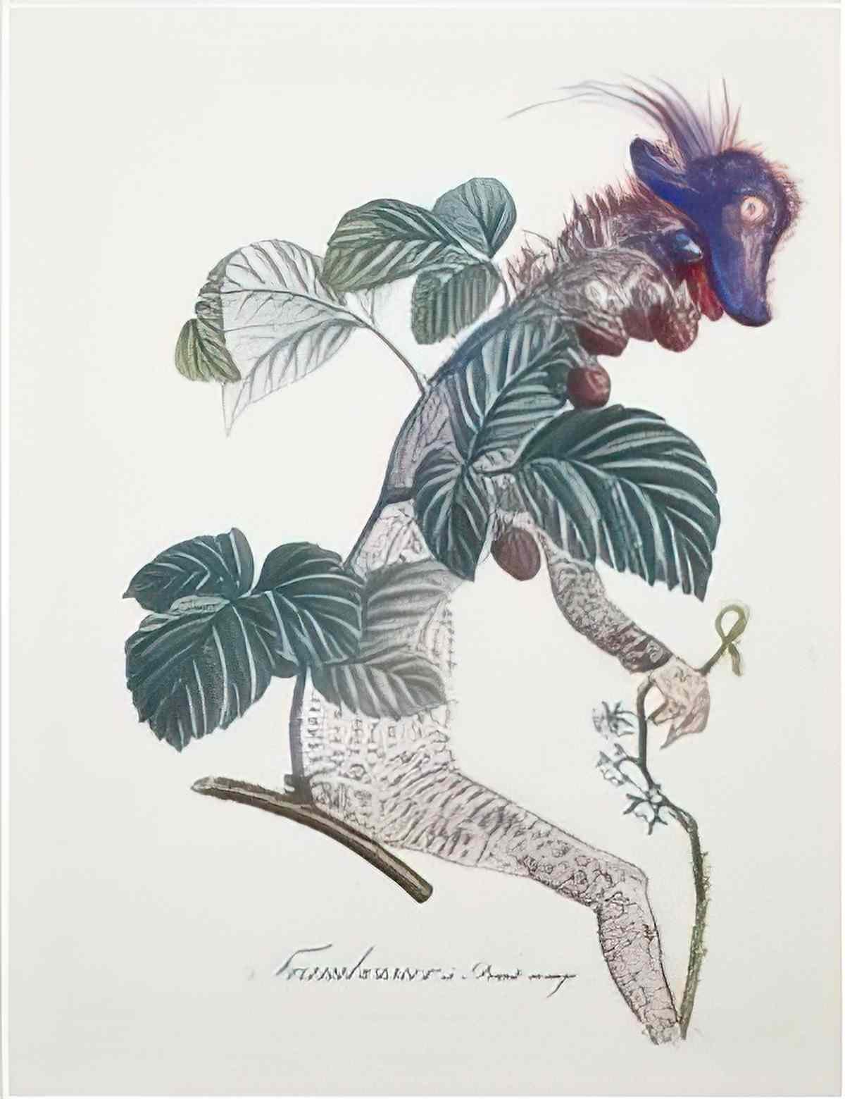 Salvador Dali salvador dali framboisier raspberry bush Art A4 Photo Print