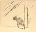 Salvador Dali salvador dali le chat de pubol ombre dun chat pour une Art A4 Photo Print