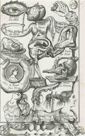 Salvador Dali salvador dali romulus et remus Art A4 Photo Print