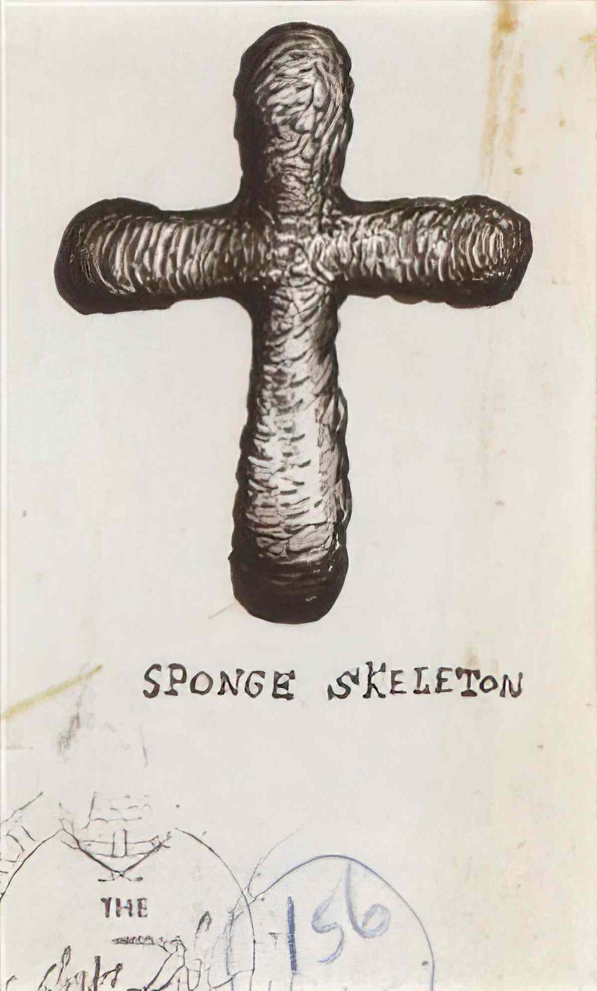Salvador Dali salvador dali sponge skeleton Art A4 Photo Print