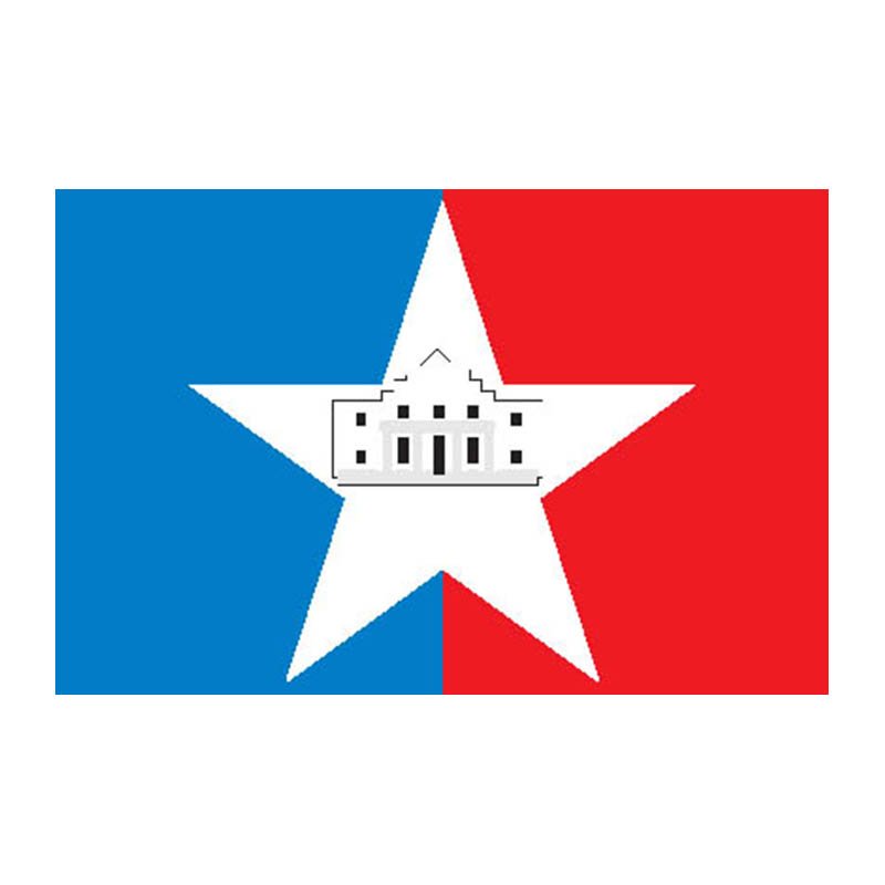 Sanantonio City Flag N6211 A4 Photo Print