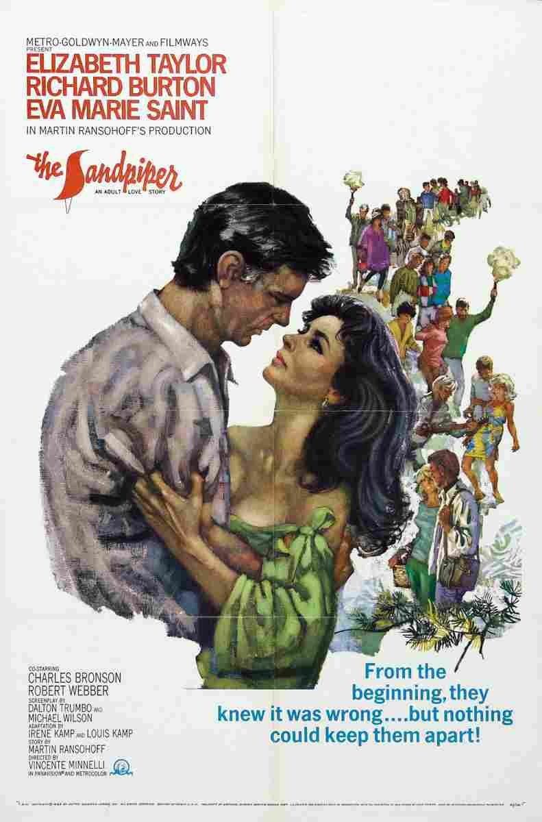 Sandpiper The 01  film star poster A4 Photo Print