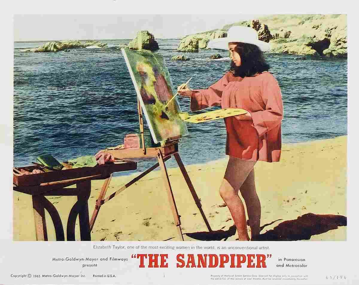 Sandpiper The 02  film star poster A4 Photo Print