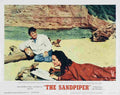 Sandpiper The 03  film star poster A4 Photo Print