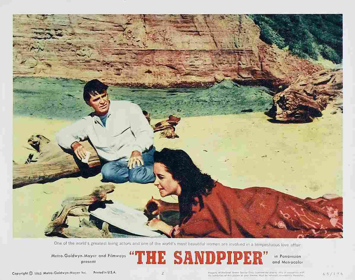 Sandpiper The 03  film star poster A4 Photo Print