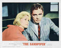 Sandpiper The 05  film star poster A4 Photo Print
