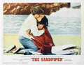 Sandpiper The 06  film star poster A4 Photo Print