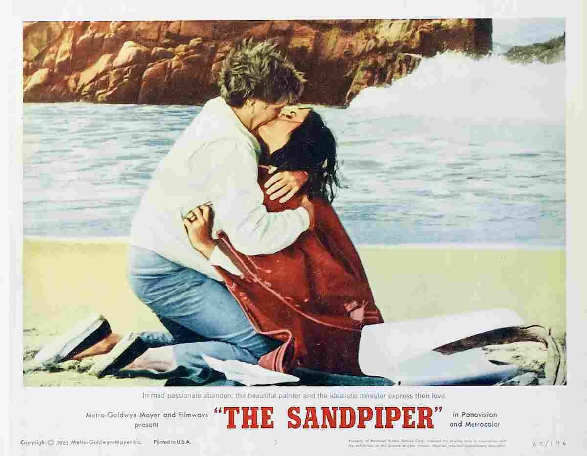Sandpiper The 06  film star poster A4 Photo Print