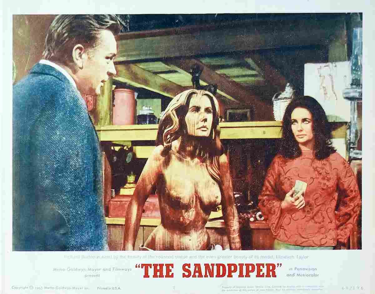 Sandpiper The 08  film star poster A4 Photo Print