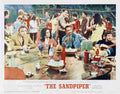 Sandpiper The 09  film star poster A4 Photo Print
