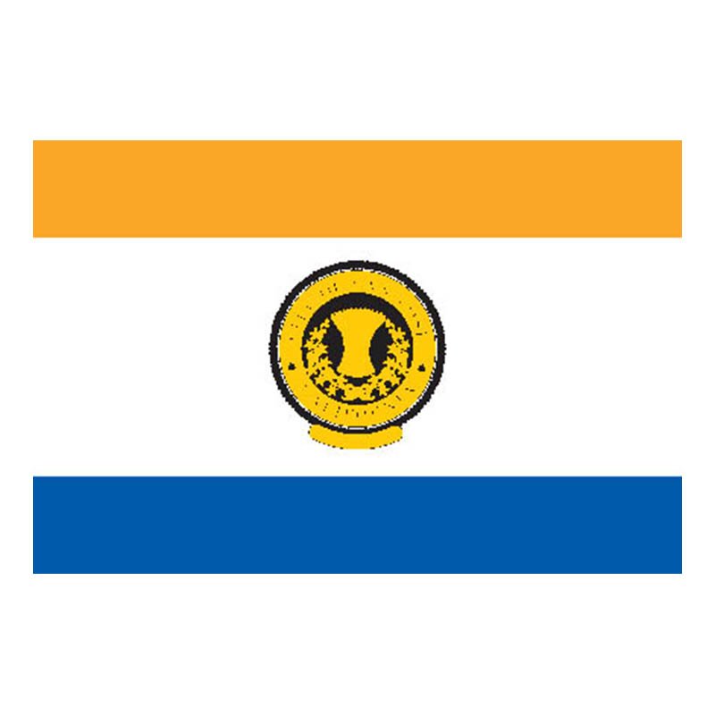 Sanjose City Flag N6053 A4 Photo Print