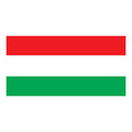 Sanpedrodepelileo Canton Flag N6116 A4 Photo Print