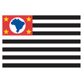 Saopaulo State Flag N4812 A4 Photo Print