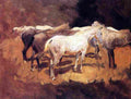 Sar Horses at Palma Art A4 Photo Print