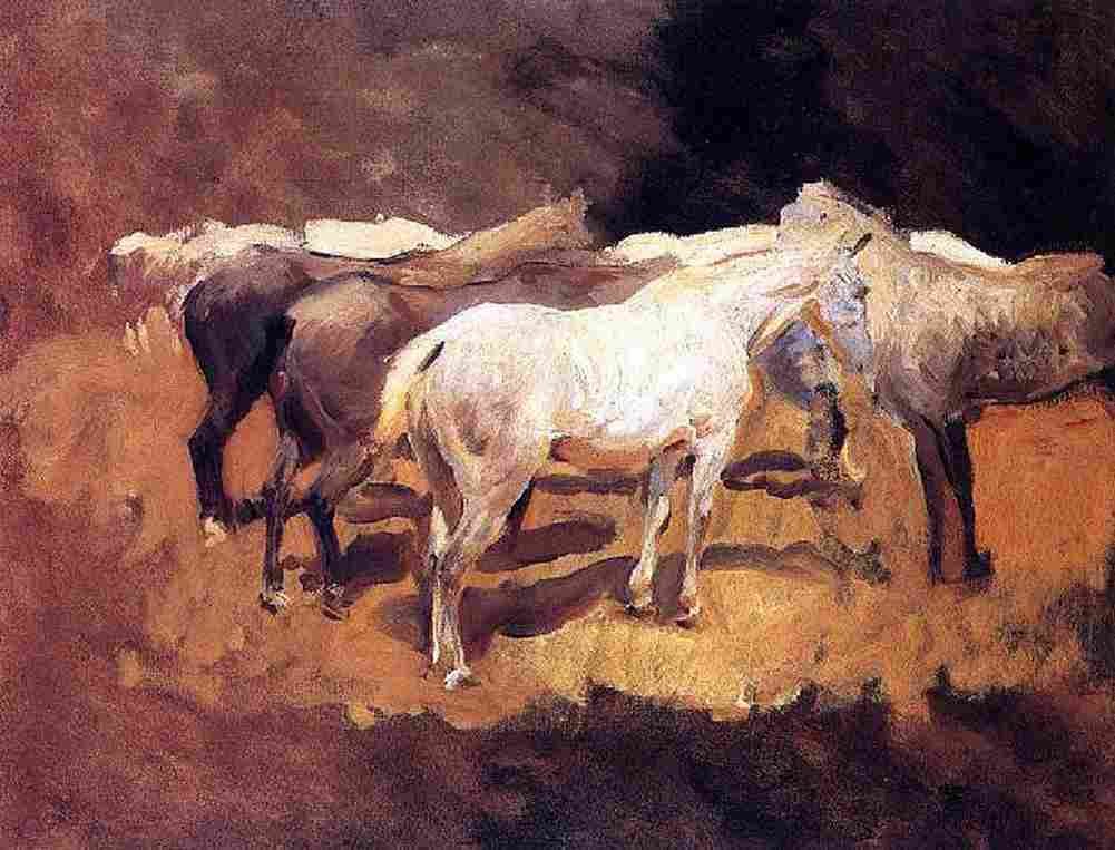 Sar Horses at Palma Art A4 Photo Print