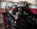 Sar Mosquito Nets Art A4 Photo Print