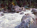 Sar Torrente Noruega Art A4 Photo Print