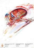 Sarajevo Beetle Olympics Vintage Retro Advert Ads A4 Photo Print