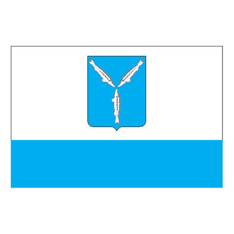Saratov City Flag N3731 A4 Photo Print