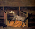 Sartorius Francis A Dappled Grey In A Stall A4 Photo Print