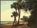 Scene_ Indian River Florida Vintage A4 Photo Print