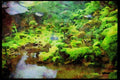 Scenic Japan 249000 Temple Pond, Nara Prefecture A4 Limited Edition Watercolour Print