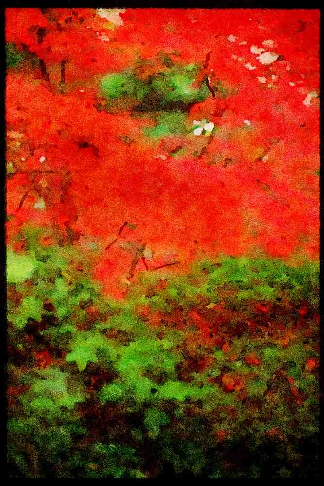 Scenic Japan 249032 Color Contrast A4 Limited Edition Watercolour Print