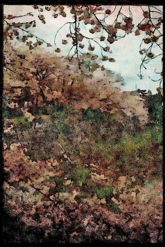 Scenic Japan 249046 Cherry Blossoms Over The Moat, Koriyama Castle A4 Limited Edition Watercolour Print