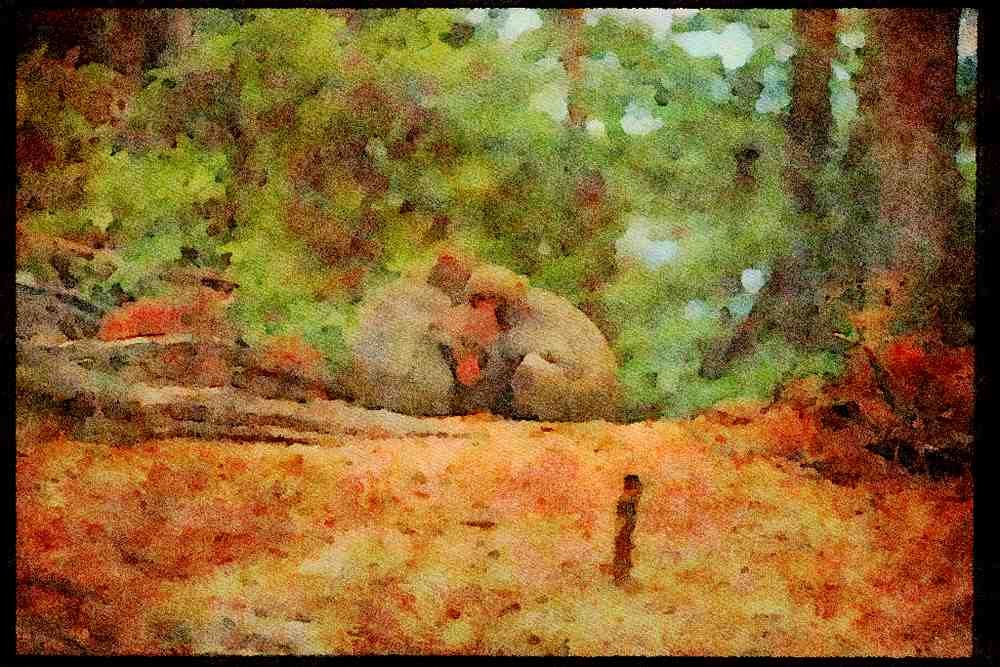 Scenic Japan 249064 Monkeys At Miyajima A4 Limited Edition Watercolour Print