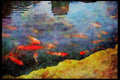 Scenic Japan 249065 Carp Pond, Arashiyama A4 Limited Edition Watercolour Print