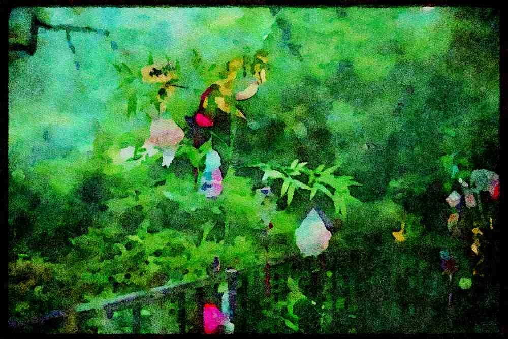 Scenic Japan 249080 Ornaments In The Trees A4 Limited Edition Watercolour Print