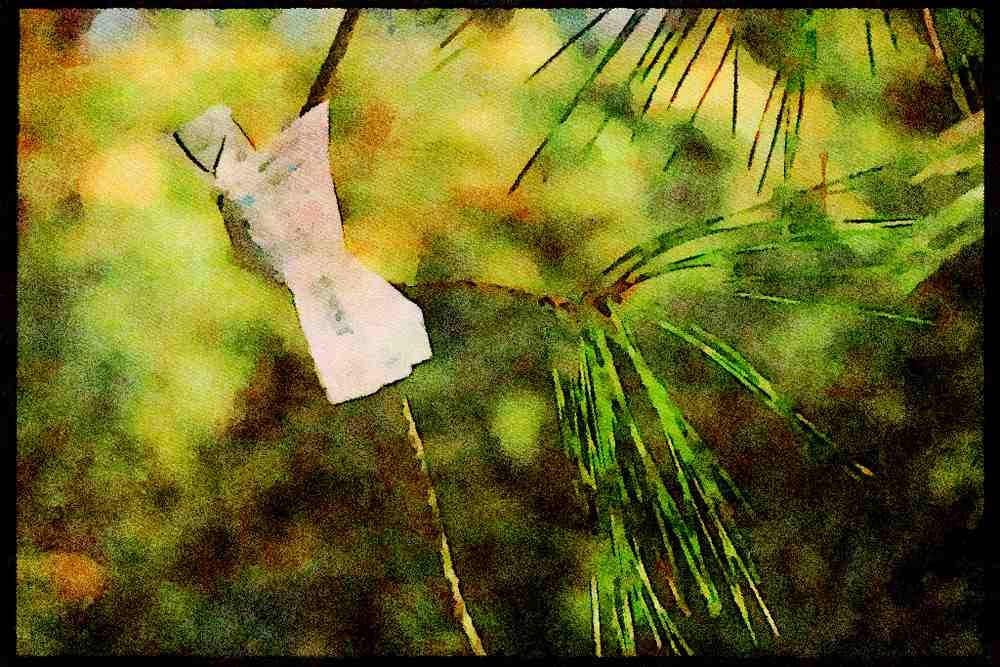 Scenic Japan 249081 A Wish A4 Limited Edition Watercolour Print