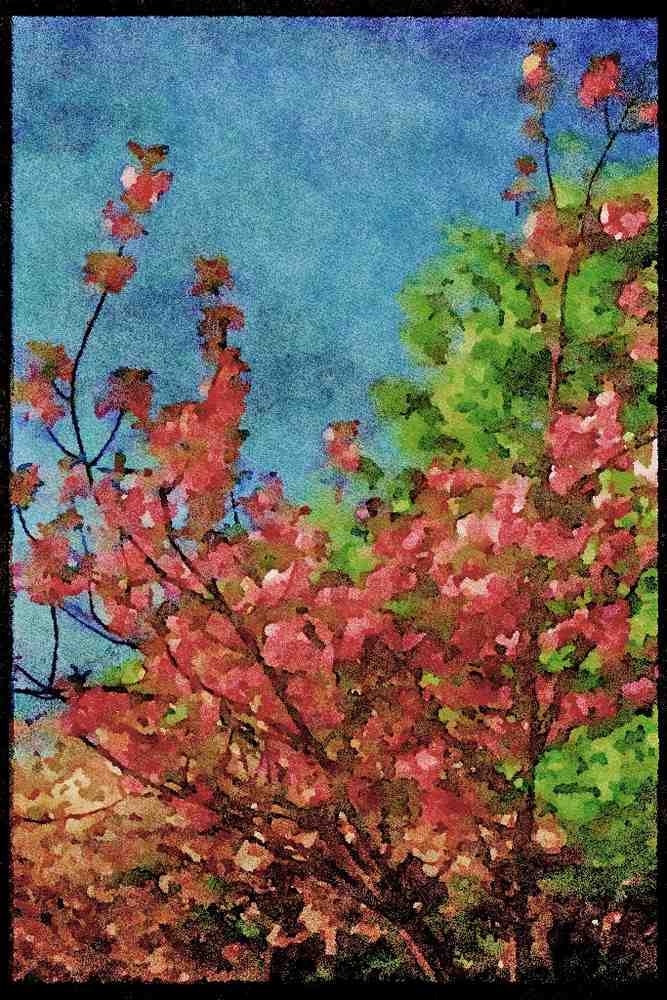 Scenic Japan 249099 Plum Blossoms, Osaka A4 Limited Edition Watercolour Print