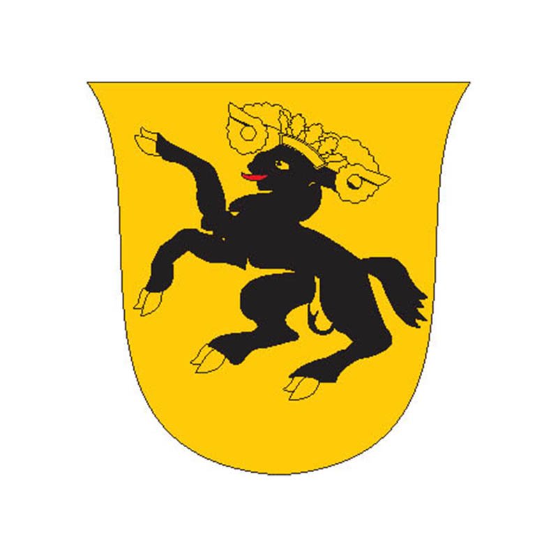 Schaffhausen Coat Of Arms N2411 A4 Photo Print