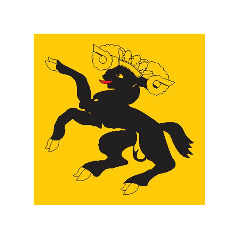 Schaffhausen Flag N2412 A4 Photo Print